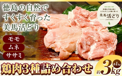 鶏肉 3kg 3種詰合せ(モモ、ムネ、ササミ) 《30日以内に出荷予定(土日祝除く)》株式会社かねひ活鳥 徳島県 美馬市 肉 鶏 鶏肉 モモ ムネ ササミ 送料無料 st-p---tsm_cknh1_30d_23_14500_3kg---