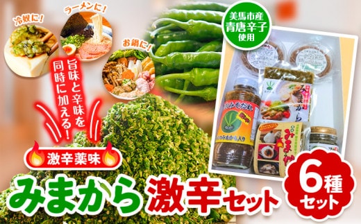 薬味 みまから 激辛セット 《30日以内に出荷予定(土日祝除く)》工房ロマン 徳島県 美馬市 みまから 特産品 美馬市産 青唐辛子 唐辛子 冷奴 ラーメン お鍋 薬味みまから うまからみそ ちりめんみそ 焼肉たれ激辛---tsm_romn4_30d_23_16000_1s---
