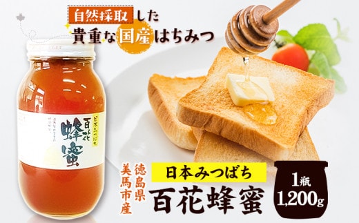 日本みつばち 百花はちみつ 1200g 《30日以内に出荷予定(土日祝除く)》株式会社アグリサポート美馬 徳島県 美馬市 蜂蜜 ハチミツ 自然採取 国産 はちみつ 1瓶---tsm_agrsp3_30d_23_30000_1200g---