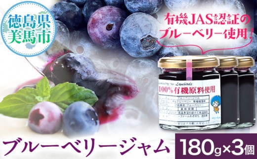 無添加 手作り ブルーベリージャム（180g×3個） 《30日以内に出荷予定(土日祝除く)》ベリーベリーファームわきまち 徳島県 美馬市 ブルーベリー ジャム 果物 フルーツ 青果物 st-p---tsm_bbfw2_30d_23_14500_540g---