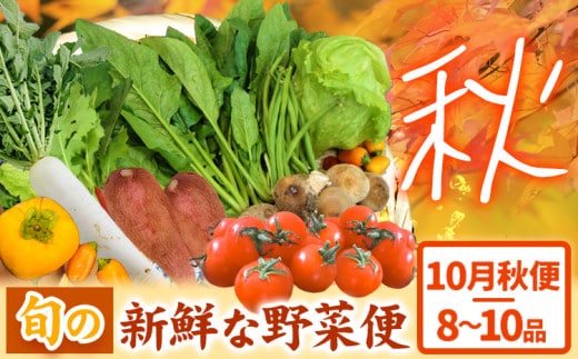 ＜ 先行予約 ＞ 旬の新鮮な 野菜便 10月秋便 8～10品 アグリサポート美馬《10月上旬-10月末頃出荷》秋野菜 大根 かぼちゃ すだち さつまいも ブロッコリー 次郎柿 ほうれん草 ミニトマト 野菜 青果物 送料無料 徳島県 美馬市---tsm_cagrsp22_ac10_24_16000_1set---
