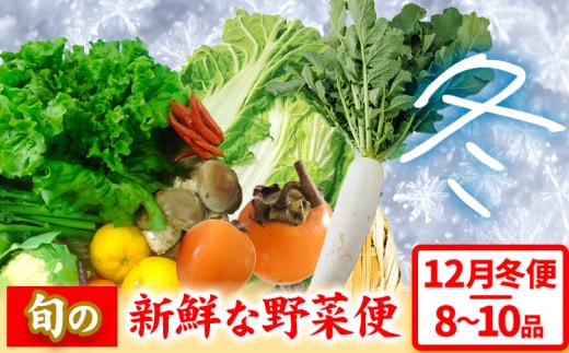 ＜先行予約＞ 旬の新鮮な野菜便 12月冬便 8～10品 アグリサポート美馬《12月上旬-12月末頃出荷》徳島県 美馬市 冬野菜 白菜 かぶら キャベツ 愛宕柿 柚子玉 大根 里芋 玉葱 野菜 青果物 送料無料---tsm_agrsp23_ac12_24_13500_1set---