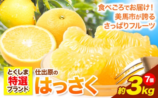 八朔 はっさく 約3kg 7個《2027年2月上旬‐3月上旬頃出荷》仕出原八朔生産組合 八朔 大玉 はっさく 果物 くだもの フルーツ 特選 ゼリー ジュース ピール 徳島県 美馬市 st-p---tsm_sdhr4_ad23_26_11000_7k---