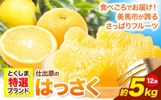 八朔 はっさく 約5kg 12個 《2027年2月上旬‐3月上旬頃出荷》仕出原八朔生産組合 果物 くだもの フルーツ 特選 ゼリー ジュース ピール 徳島県 美馬市 st-p---tsm_sdhr5_ad23_26_13000_12k---