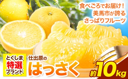 【先行予約】八朔 はっさく 10kg 仕出原八朔生産組合《2027年2月上旬‐3月上旬頃出荷》 徳島県 美馬市 果物 くだもの フルーツ 特選 ゼリー ジュース ピール 八朔 10kg 八朔 大玉 八朔 10kg 園 八朔 10kg 農園 八朔 10kg 大玉 st-p---tsm_sdhr6_ad23_26_15500_10kg---