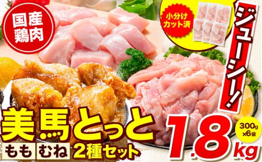 鶏肉 小分け むね肉 もも肉 セット 約1.8kg 美馬とっと《30日以内に出荷予定(土日祝除く)》大容量 家族用 ファミリーパック 肉 鶏 とりにく 若鶏 からあげ 送料 st-p---tsm_fmrh20_30d_26_9500_1800g---