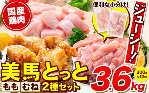 鶏肉 小分け むね肉 もも肉 セット 約3.6kg 美馬とっと《30日以内に出荷予定(土日祝除く)》大容量 家族用 ファミリーパック 肉 鶏 とりにく 若鶏 からあげ 送料 st-p---tsm_fmrh19_30d_26_14500_3600g---
