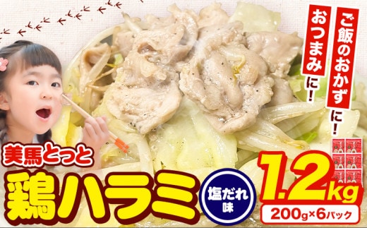 味付け肉 美馬とっと 鶏ハラミ 塩だれ味 200g × 6パック まるほ食品株式会社 《30日以内に出荷予定(土日祝除く)》 ふるさと納税 鶏肉 味付 とり肉 鶏ハラミ 塩だれ味 レトルト 簡単調理 一人暮らし おつまみ 冷凍 夕飯 送料無料 徳島県 美馬市 st-p---tsm_fmrh23_30d_26_11000_6p---