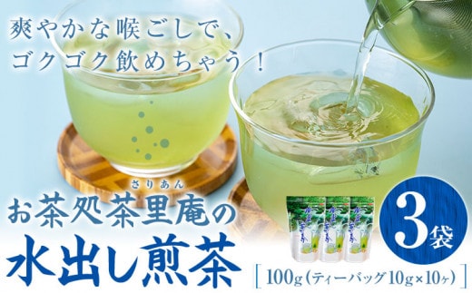 水出し煎茶 100g(10g×10個) 3袋 お茶処茶里庵 さりあん《90日以内に出荷予定(土日祝除く)》徳島県 美馬市 お茶 茶 緑茶 日本茶 煎茶 深蒸し煎茶 深蒸し 水出し ティーバッグ ティーパック---tsm_sran1_90d_23_9000_3set---