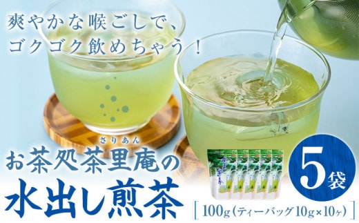 水出し煎茶 100g(10g×10個) 5袋 お茶処茶里庵 さりあん《90日以内に出荷予定(土日祝除く)》徳島県 美馬市 お茶 茶 緑茶 日本茶 煎茶 深蒸し煎茶 深蒸し 水出し ティーバッグ ティーパック---tsm_sran2_90d_23_12500_5set---