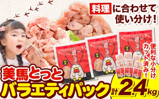 美馬とっと もも肉 むね肉 鶏ハラミ 塩だれ味 セット 計 2.4kg まるほ食品株式会社 《30日以内に出荷予定(土日祝除く)》 鶏肉 味付 とり肉 レトルト 簡単調理 一人暮らし おつまみ 冷凍 夕飯 送料無料 徳島県 美馬市 ファミリーパック 若鶏 からあげ 鶏 st-p---tsm_fmrh24_30d_26_12500_9p---