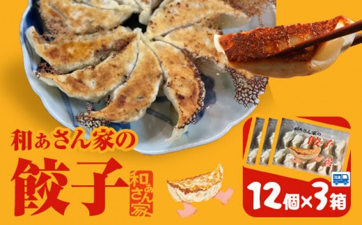 餃子 和ぁさん家の餃子3個セット 36個 和ぁさん家 株式会社栄工製作所 《30日以内に出荷予定(土日祝除く)》冷凍食品 餃子 ご家庭用 お手軽 ギフト セット 徳島県 美馬市 st-p---tsm_fwsn48_30d_26_14000_3---