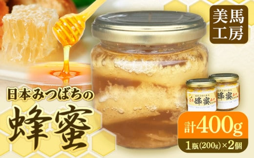 日本みつばちの蜂蜜 200g×2個 計400g 美馬工房 《30日以内に出荷予定(土日祝除く)》 ハチミツ はちみつ 自然採取 2瓶 国産 徳島県 美馬市 st-p---tsm_mkb2_30d_24_19000_2k---