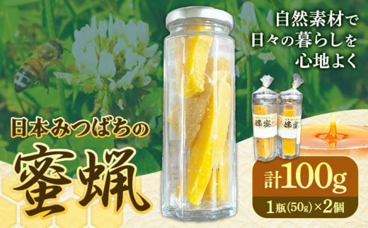 日本みつばちの蜜蝋 50g×2個 計100g 美馬工房 《30日以内に出荷予定(土日祝除く)》 自然採取 2瓶 国産 蜜蝋 天然 ワックス ハンドメイド ハンドクリーム リップクリーム アロマワックスバー 蜜蝋ラップ キャンドル 徳島県 美馬市 st-p---tsm_mkb3_30d_24_16000_2k---
