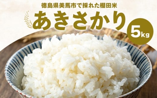 令和6年産 米 棚田米 あきさかり 5kg エイコーファーム 《30日以内に出荷予定(土日祝除く)》ごはん こめ ご飯 精米 徳島県 美馬市---tsm_wsn27_30d_23_12000_5kg---
