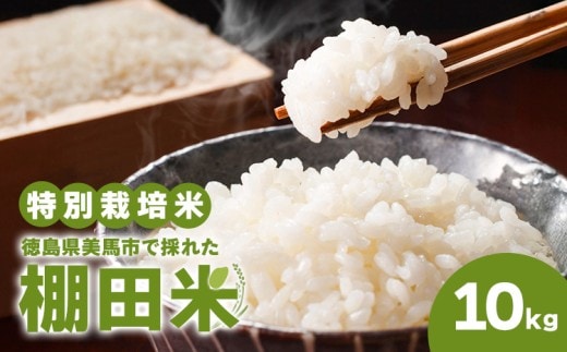米 棚田米 10kg 特別栽培米 エイコーファーム《30日以内に出荷予定(土日祝除く)》特別栽培米 10㎏ 米 10㎏ 精米 白米 コメ 10㎏ 米 棚田米 10㎏ 徳島県 美馬市 ---tsm_wsn28_30d_23_19000_10kg---