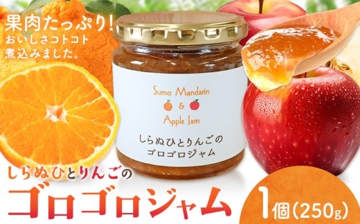 ジャム フルーツ 不知火 りんご しらぬひとりんごのゴロゴロジャム 1個 (1個250g) 有限会社美馬交流館《30日以内に出荷予定(土日祝除く)》徳島県 美馬市 送料無料 ジャム 果物 果肉 ごろごろ たっぷり みかん リンゴ しらぬい デコポン---tsm_mkrkn13_30d_23_6500_1b---