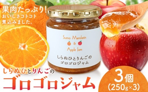 ジャム フルーツ 不知火 りんご しらぬひとりんごのゴロゴロジャム 3個 (1個250g) 有限会社美馬交流館《30日以内に出荷予定(土日祝除く)》徳島県 美馬市 送料無料 ジャム 果物 果肉 ごろごろ たっぷり みかん リンゴ しらぬい デコポン---tsm_mkrkn14_30d_23_12000_3b---