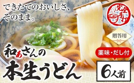 おうどんセット ６人前 《90日以内に出荷予定(土日祝除く)》和ぁさん家、株式会社栄工製作所 うどん 麺 生麺 生うどん 本格 手作り 和食 ご家庭用 こだわり お手軽 ギフト セット 薬味 だし付き 徳島県 美馬市 st-p---tsm_cwsn29_90d_26_14000_6p---