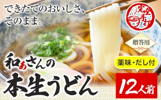 おうどんセット 12人前 《90日以内に出荷予定(土日祝除く)》和ぁさん家、株式会社栄工製作所 うどん 麺 生麺 生うどん 本格 手作り 和食 ご家庭用 こだわり お手軽 ギフト セット 薬味 だし付き 徳島県 美馬市 st-p---tsm_cwsn31_90d_26_21000_12p---