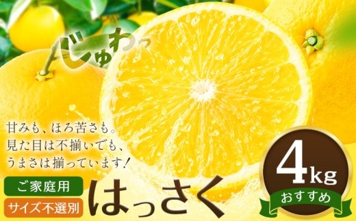 八朔 はっさく ご家庭用 サイズ不選別 4kg《2027年2月上旬-2月下旬頃出荷》八朔 柑橘 果物 フルーツ 訳あり 規格外 傷あり 徳島県 美馬市 送料無料---tfn_lcl60_ab2_26_6500_4kg---