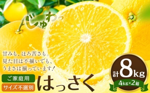 八朔 はっさく ご家庭用 サイズ不選別 おすそ分け 計8kg(4kg×2箱)《2月上旬-2月下旬頃出荷》八朔 柑橘 果物 フルーツ 訳あり 規格外 傷あり 徳島県 美馬市 送料無料---tfn_lcl63_ab2_26_11000_8kg---