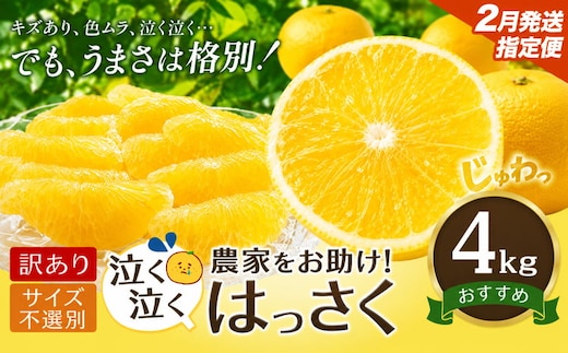 【2月中旬発送】八朔 はっさく 訳あり サイズ不選別 4kg 八朔 柑橘 果物 フルーツ 柑橘類 規格外 傷あり 送料無料 徳島県 美馬市---tfn_lcl64_q2_26_5000_4kg---