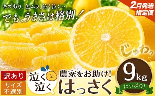【2月中旬発送】八朔 はっさく 訳あり サイズ不選別 9kg 八朔 柑橘 果物 フルーツ 柑橘類 規格外 傷あり 送料無料 徳島県 美馬市---tfn_lcl65_q2_26_8500_9kg---