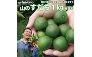 あおとくる 山のすだち 1kg