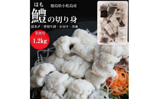 活〆 鱧（はも）切り身【骨切り・カット済】1.2kg