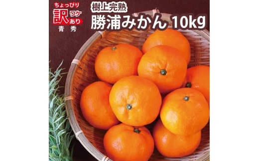上村農園 訳あり 完熟早生みかん 青秀 SS-LLサイズ 10kg