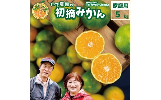井出農園 訳あり 極早生 初摘みかん 家庭用 S-L混合 5kg