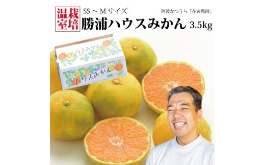 花岡農園 勝浦ハウスみかん SS-Sサイズ 3.5kg（個包装8パック入）