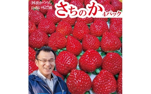 山西いちご園 さちのか 4P