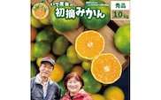 井出農園 極早生 初摘みかん 秀品 S-L混合 10kg