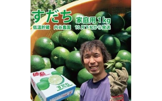 内谷農園 低温貯蔵すだち 家庭用 1kg