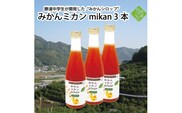 勝浦みかんシロップ みかんミカンmikan 3本