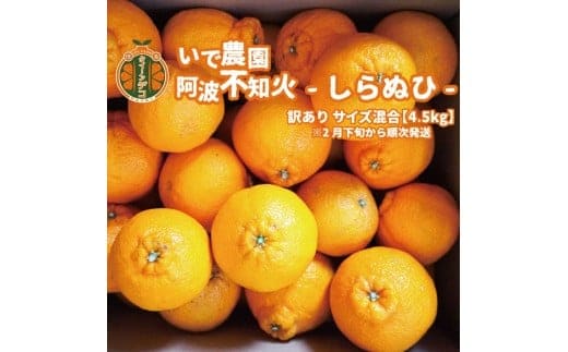 井出農園 訳あり 阿波不知火 サイズ混合 4.5kg