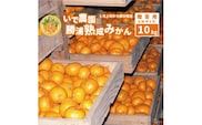 井出農園 贈答用 熟成みかん 秀品 S-Mサイズ 10kg