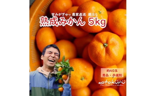 あおとくる 蔵出し熟成みかん 5kg 40玉前後 サイズ混合