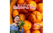 あおとくる 蔵出し熟成みかん 5kg 40玉前後 サイズ混合