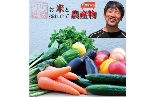 市原農園 お米と農産物