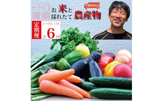 【定期便6回/2か月毎】市原農園 お米と農産物