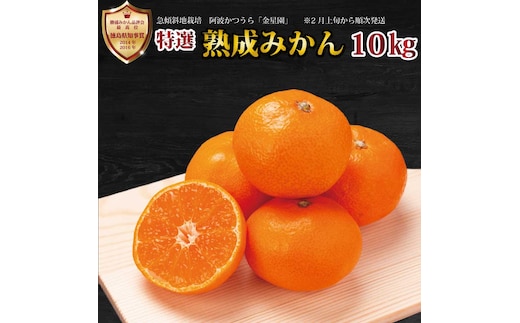 金星園 特選 熟成みかん 秀品 S-LLサイズ 10kg