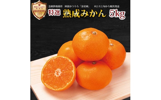 金星園 特選 熟成みかん 秀品 S-LLサイズ 5kg