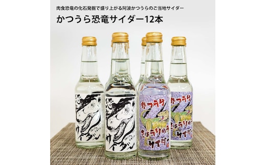 かつうら恐竜サイダー 12本