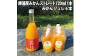 勝浦産みかんストレート 720ml＋みかんジュレセット