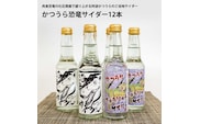 かつうら恐竜サイダー 12本