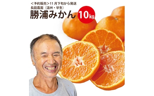 長田農園 早生みかん 秀品 S-Lサイズ 10kg