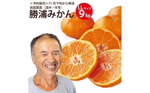 長田農園 早生みかん 秀品 LLサイズ 9kg